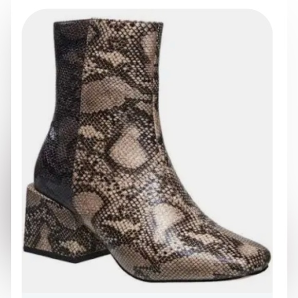 Leather Booties - French Connection - Picture 1 of 10